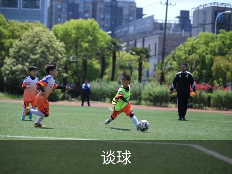 谈球介绍